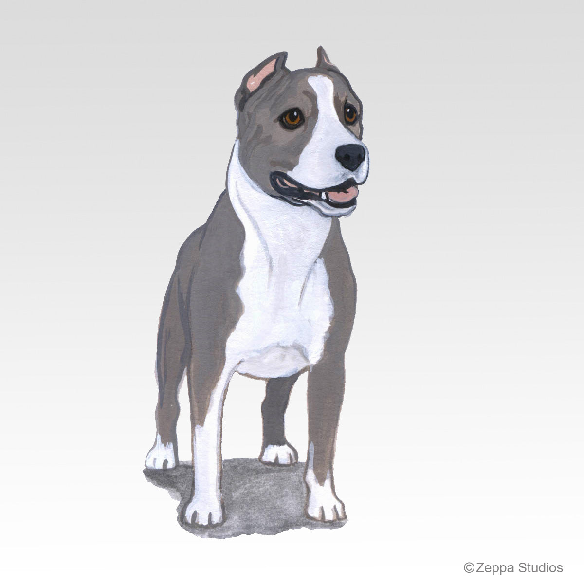 Link to American Staffordshire Terrier Gifts