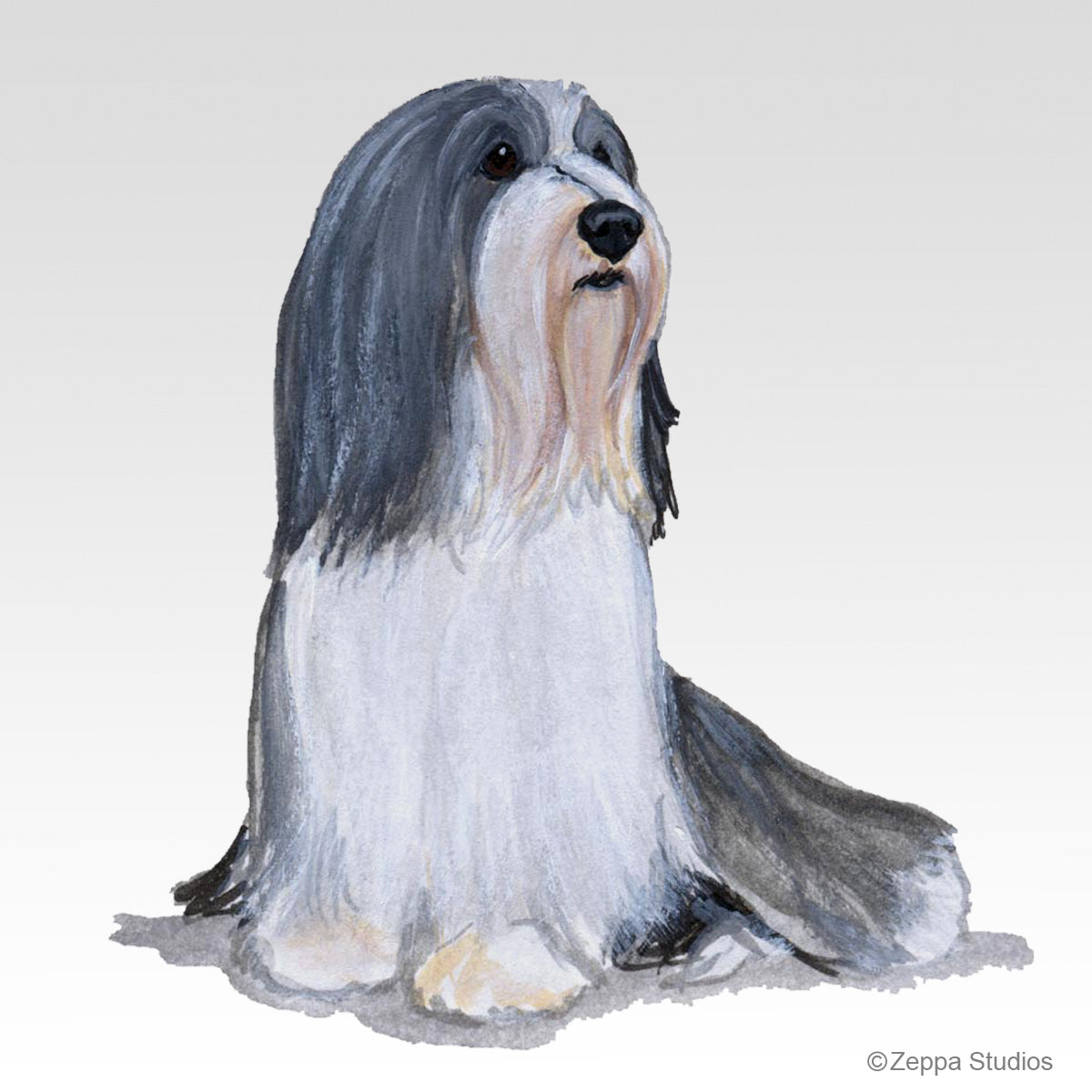 Link to Bearded Collie Gifts