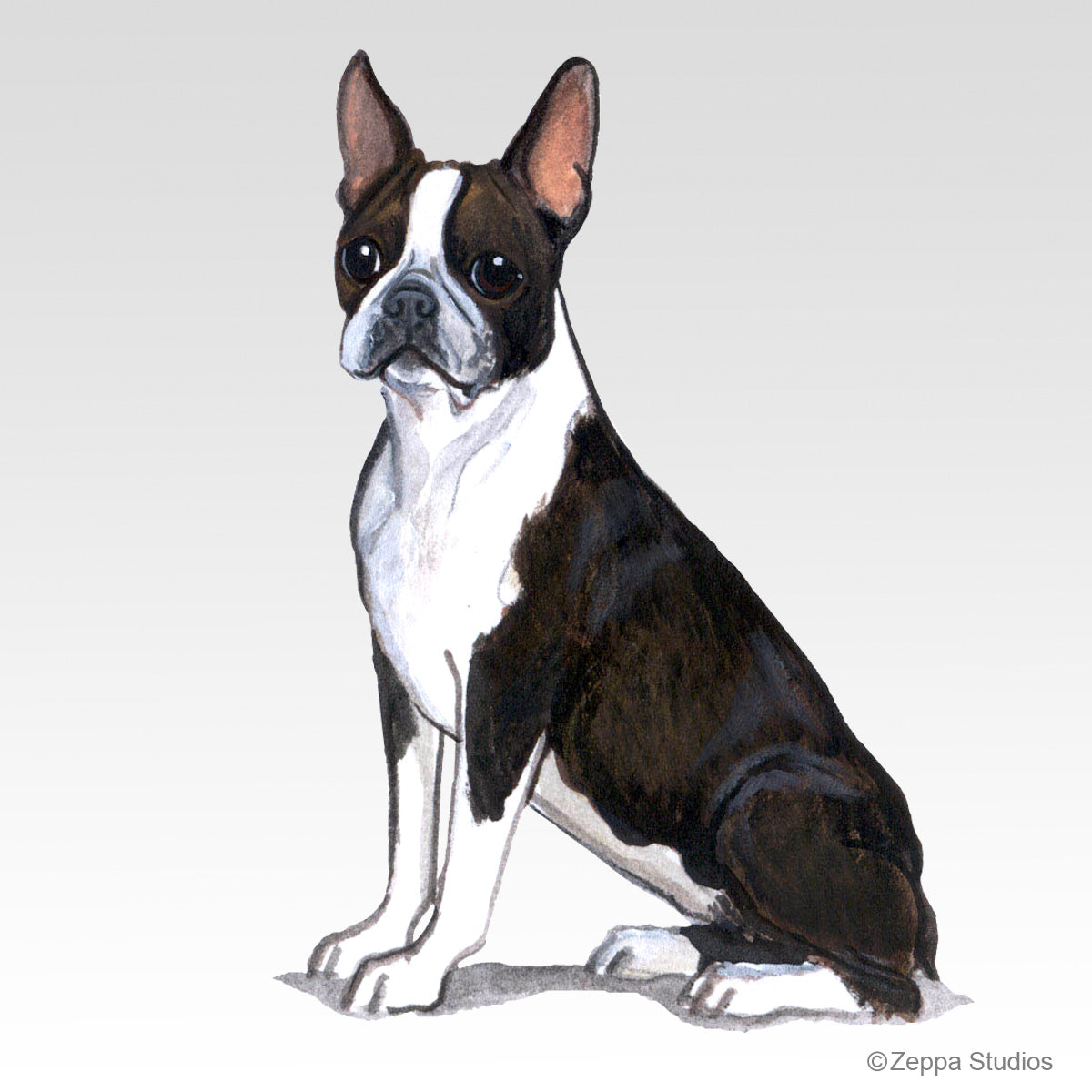 Link to Boston Terrier Gifts