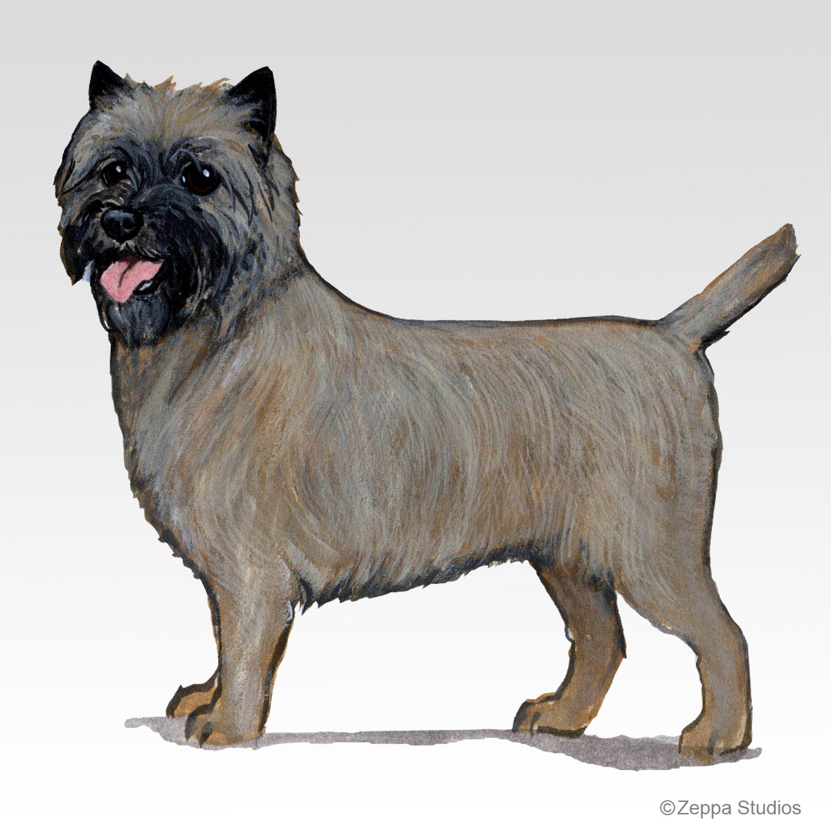 Link to Cairn Terrier Gifts