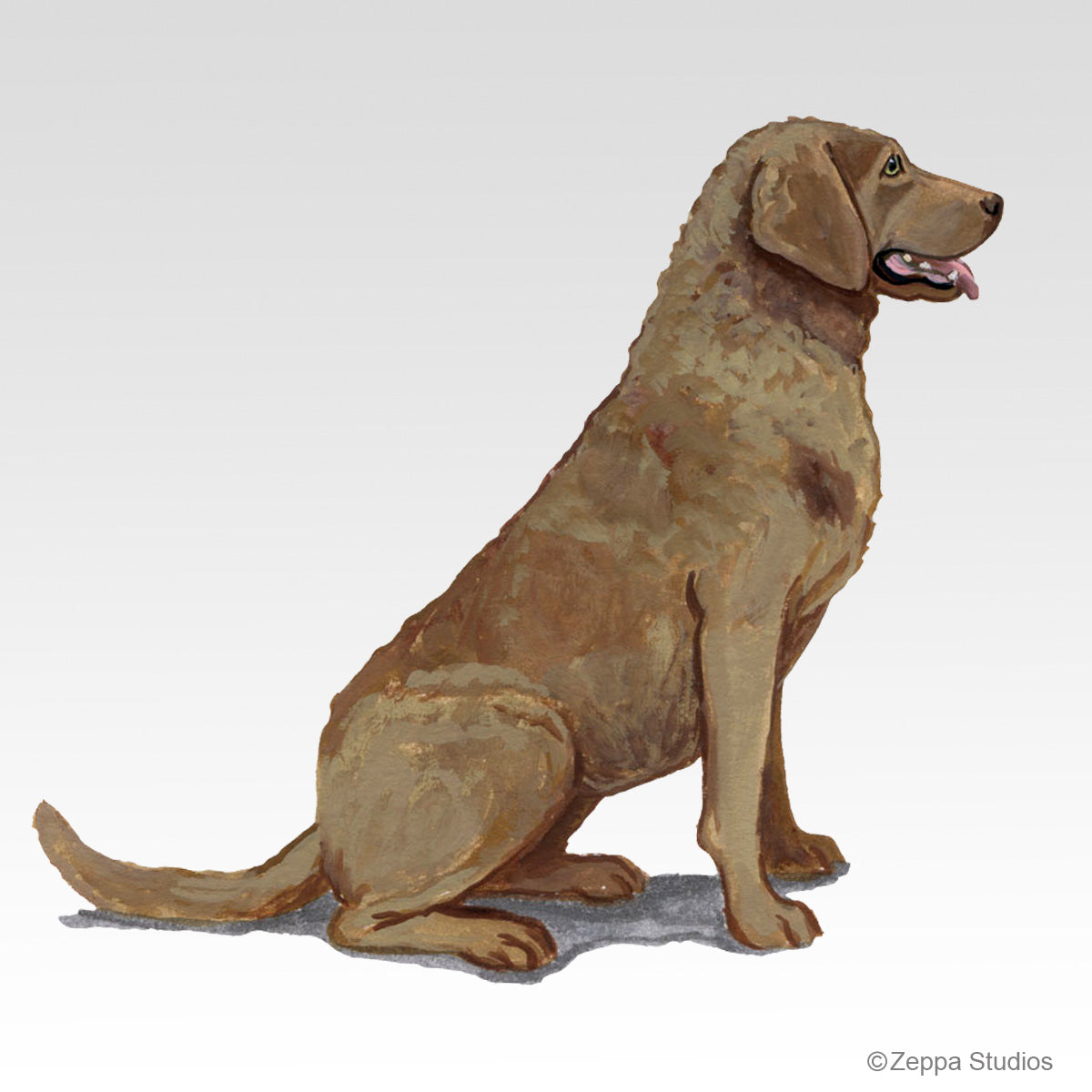 Link to Chesapeake Bay Retriever Gifts
