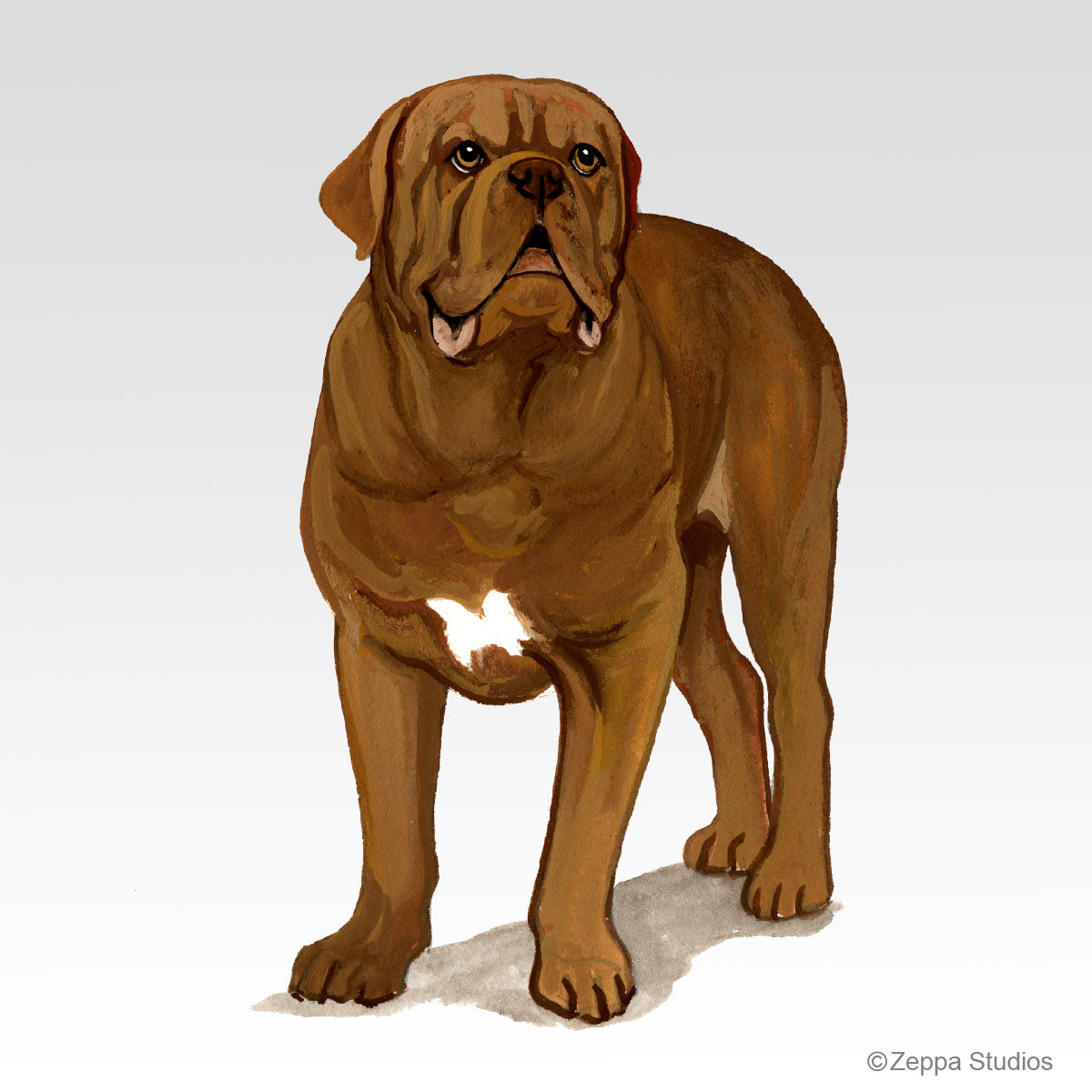 Il Dogue De Bordeaux – Red Passion - Foto 8