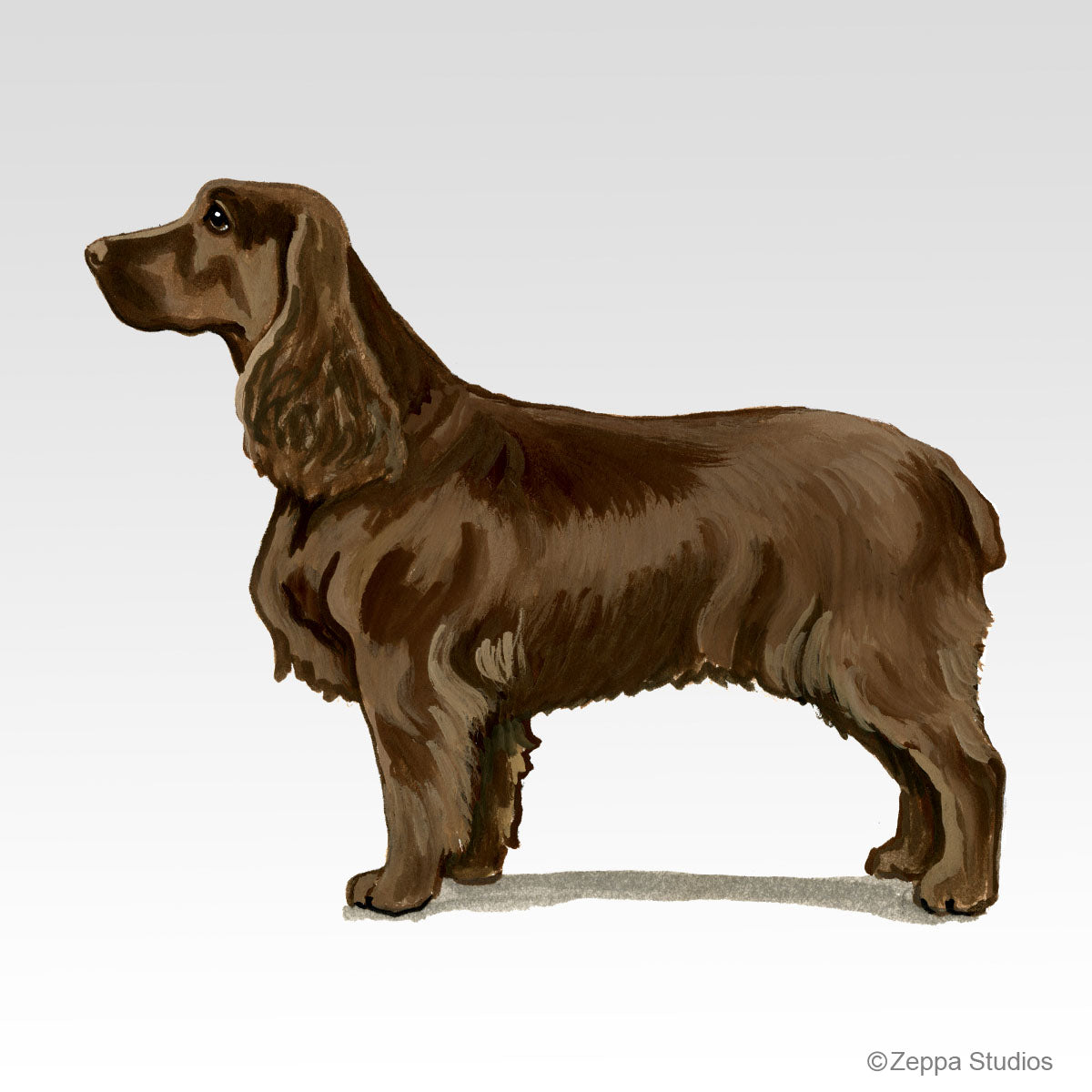 Link to Field Spaniel Gifts
