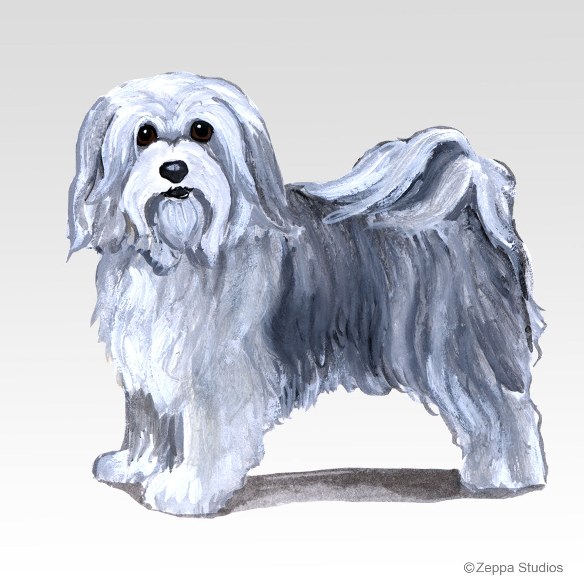 Link to Havanese Gifts