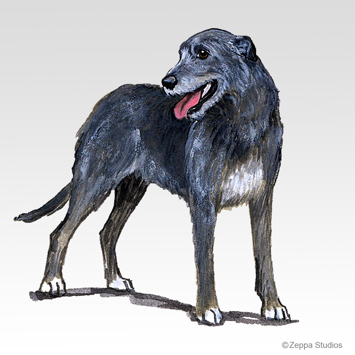 Link to Irish Wolfhound Gifts