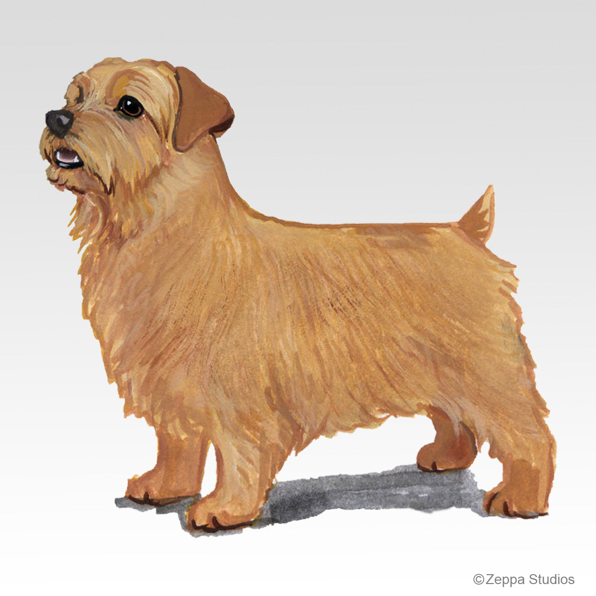 Link to Norfolk Terrier Gifts