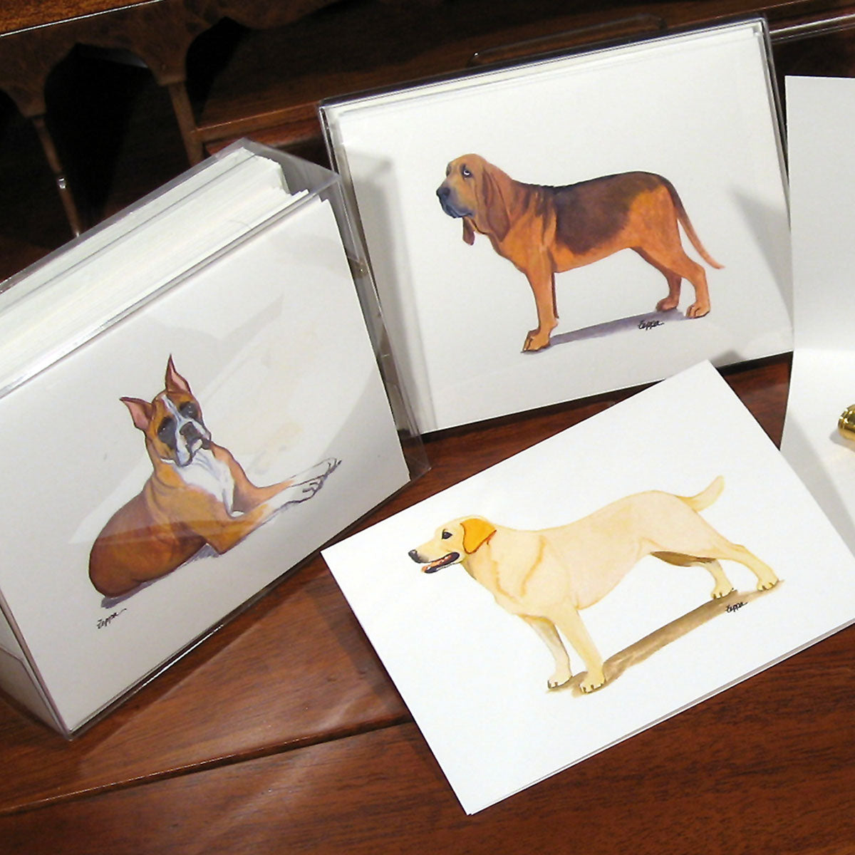 Plain Note Cards
