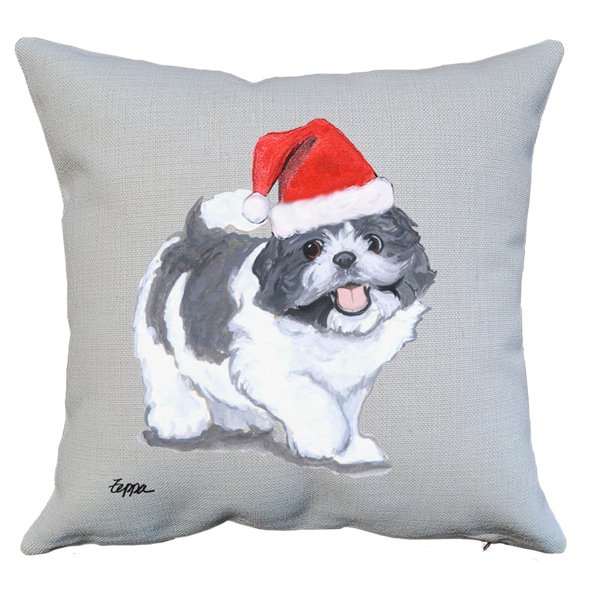 Santa Throw Pillows