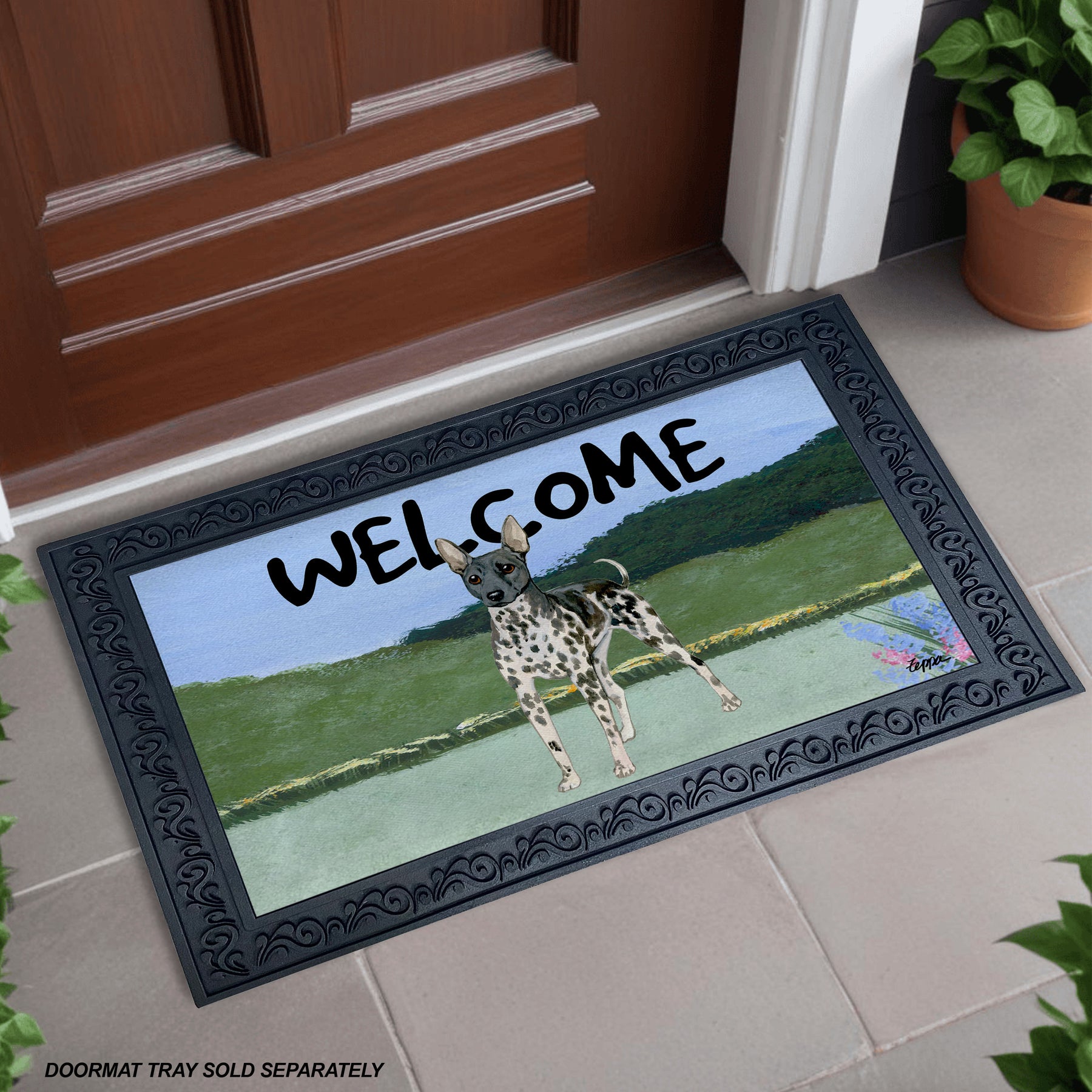 American Hairless Terrier Scenic Welcome Mat