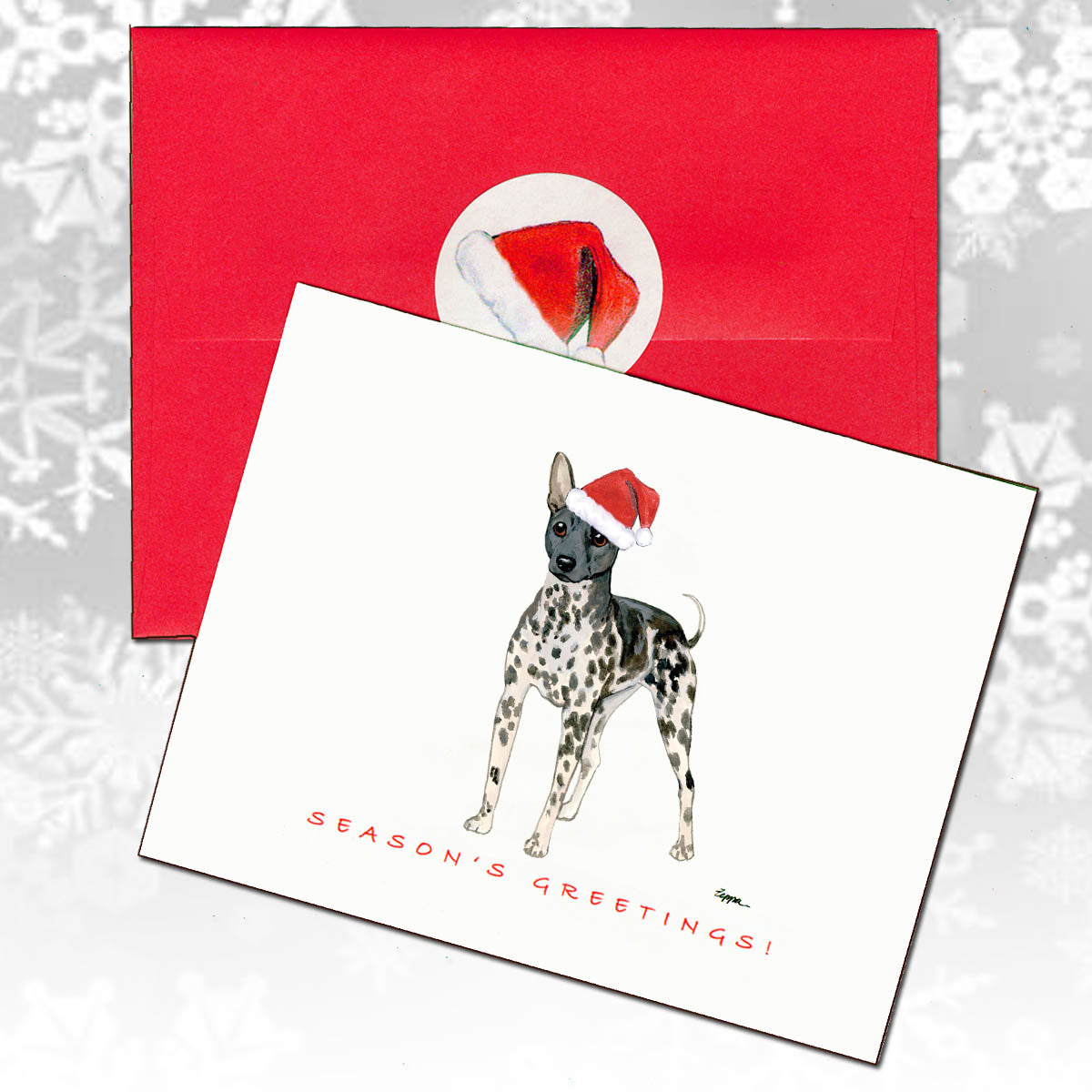 American Hairless Terrier Christmas Cards