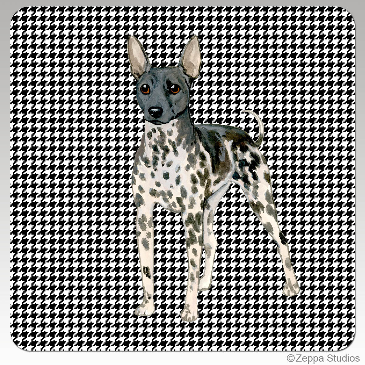 American Hairless Terrier Houndstooth Coasters