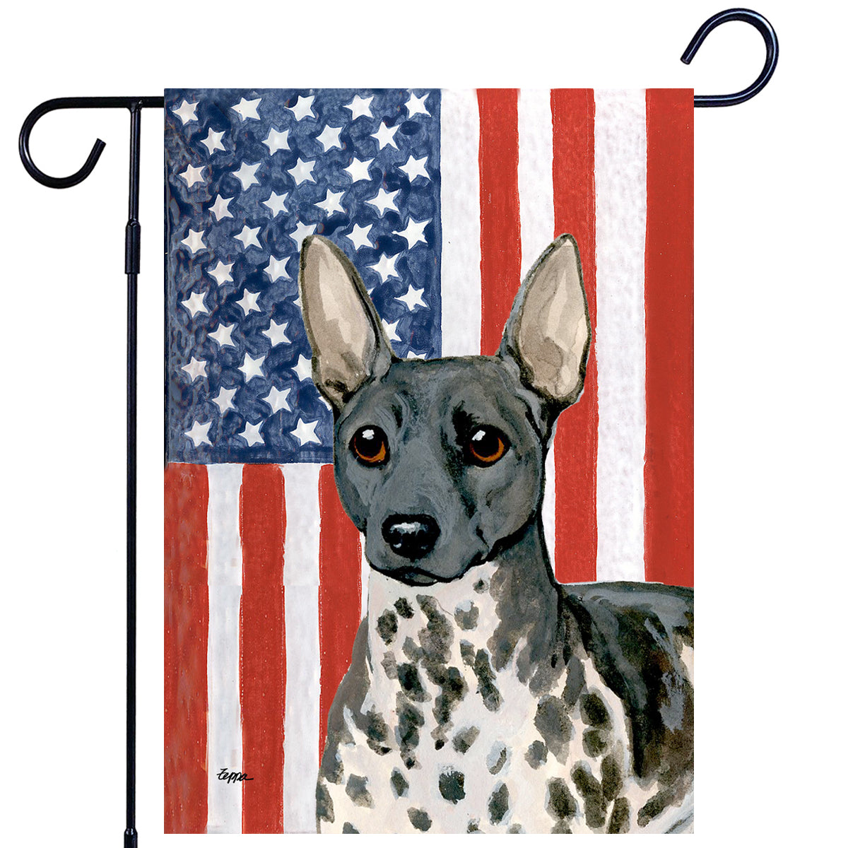 American Hairless Terrier Americana Flag