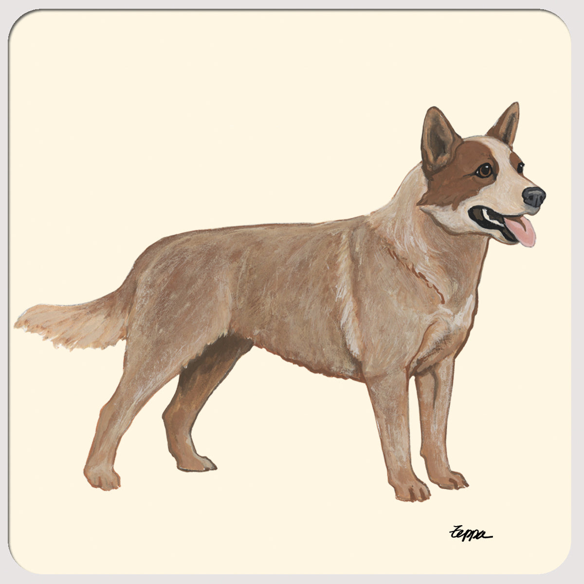 Red Australian Cattle Dog Beverage Coasters