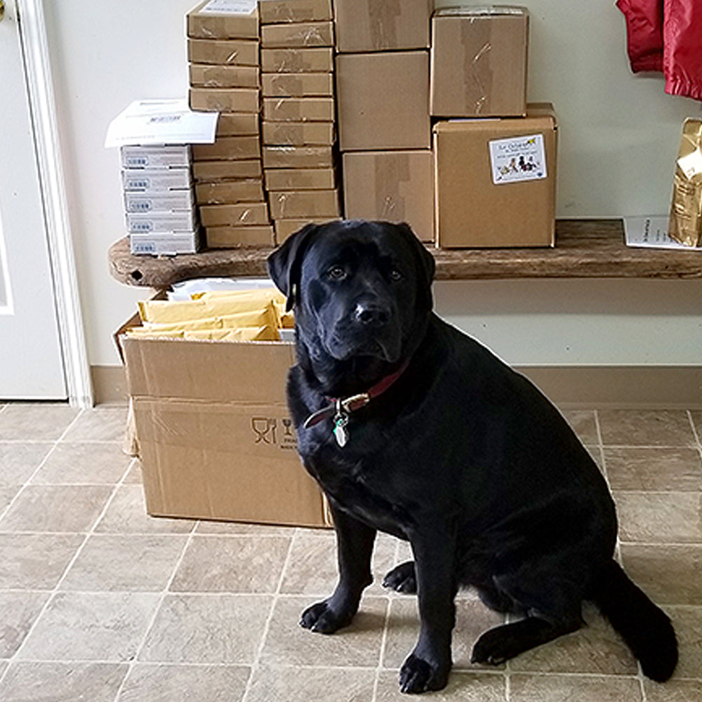Buck, Lab Assistant and Shipping Supervisor