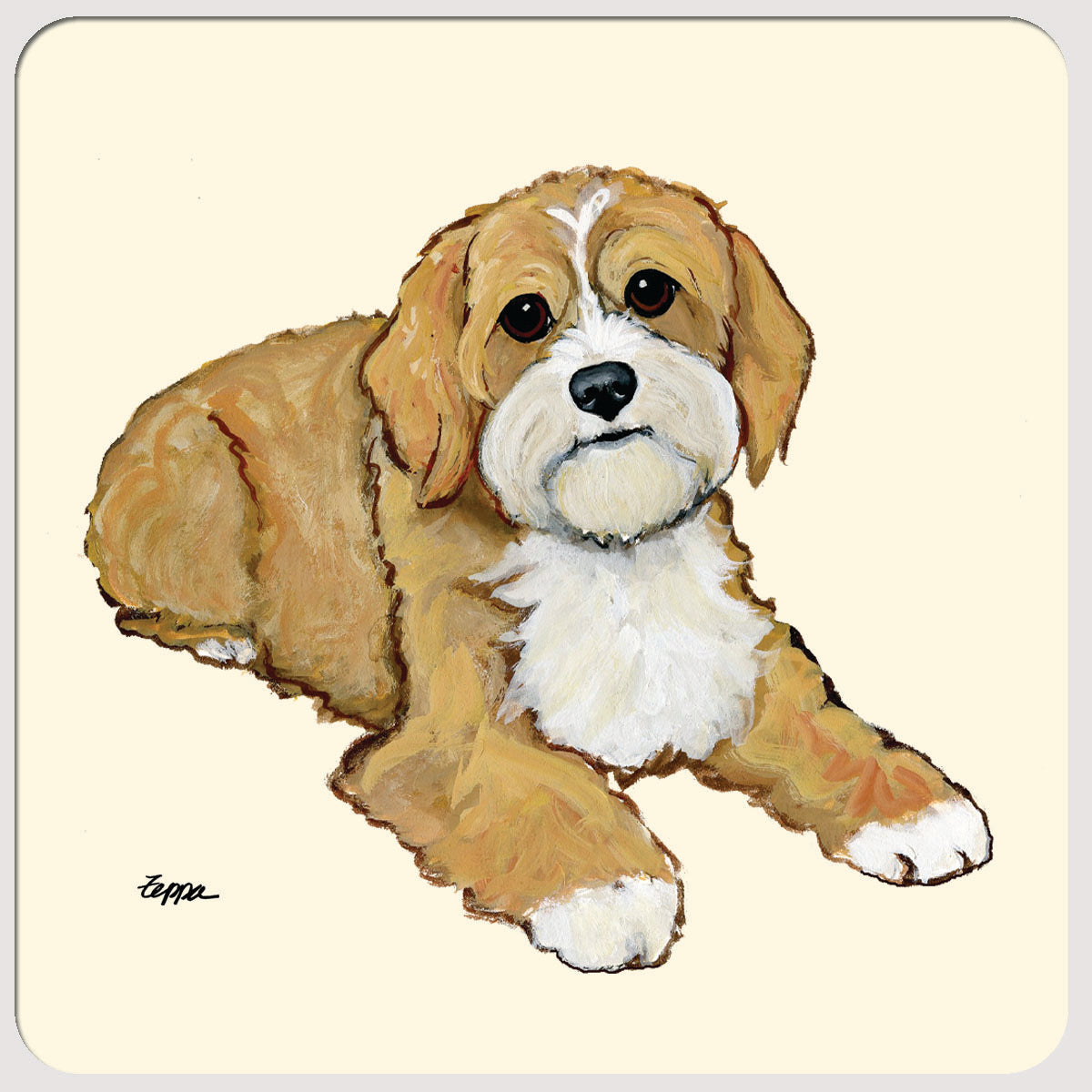 Cavapoo Beverage Coasters