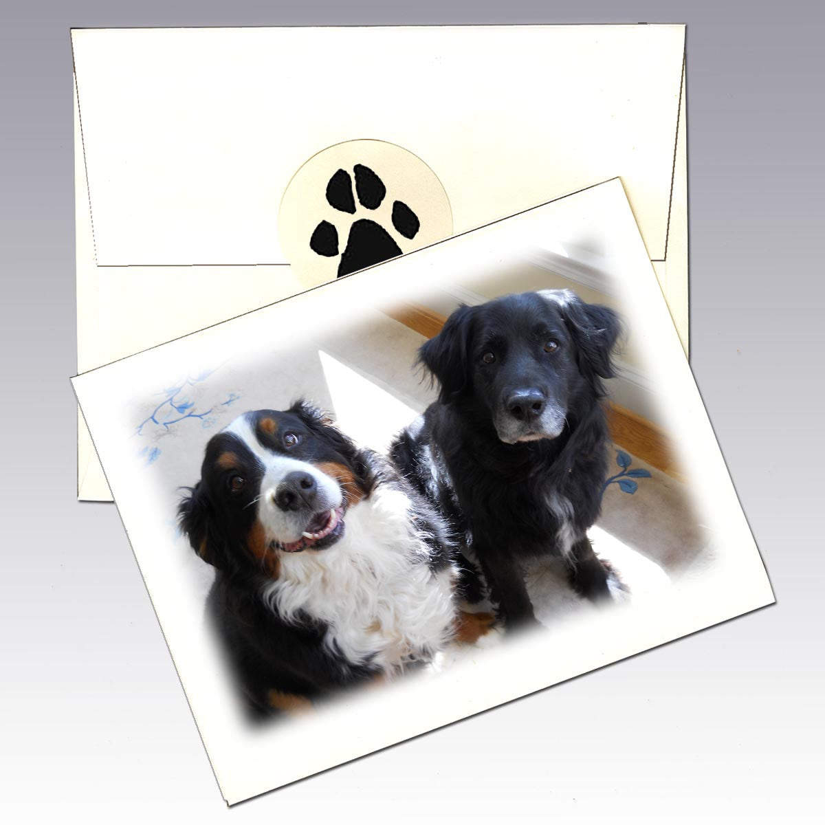 Custom Note Cards from Your Photo/Images