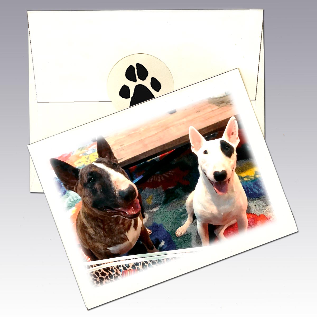 Custom Note Cards from Your Photo/Images