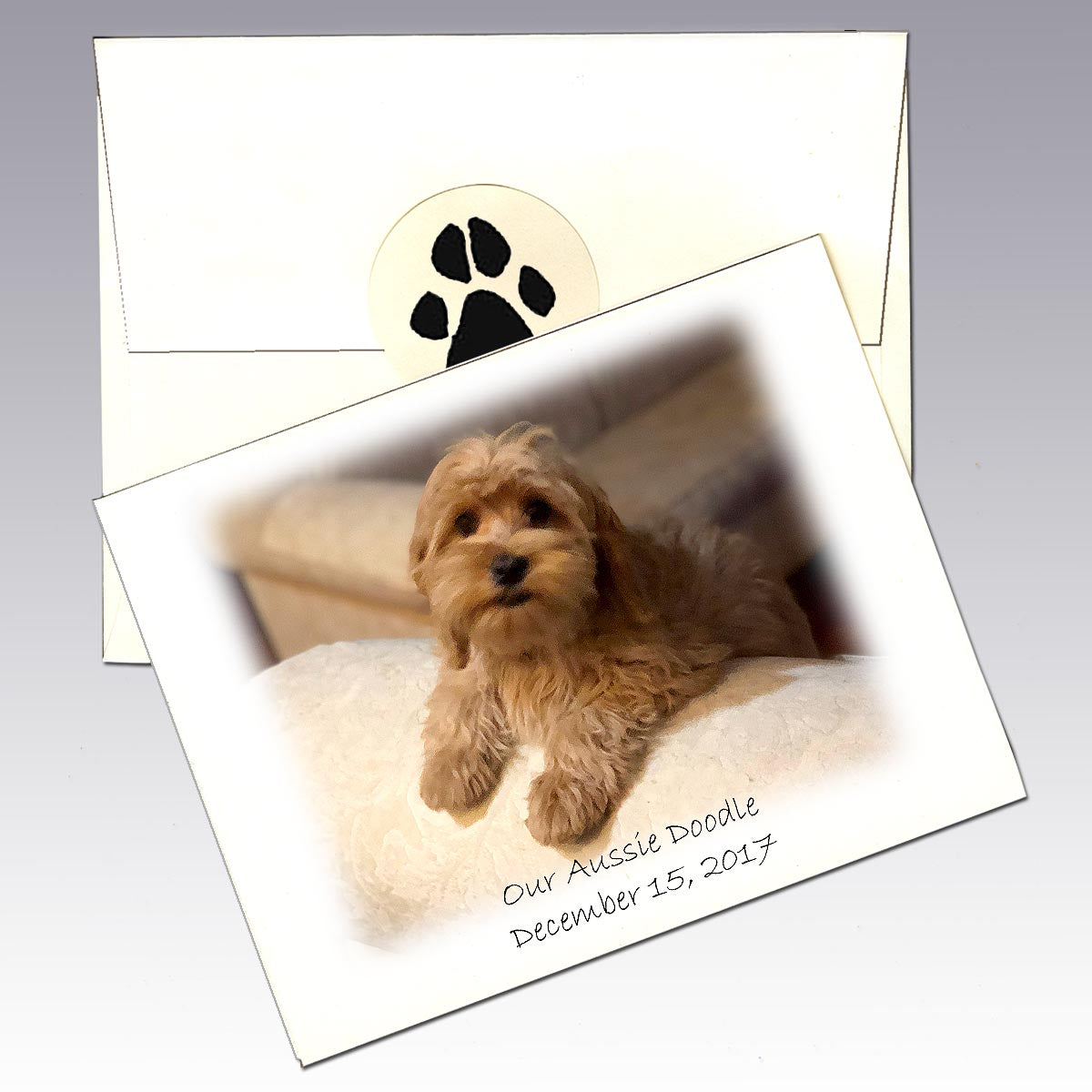 Custom Note Cards from Your Photo/Images