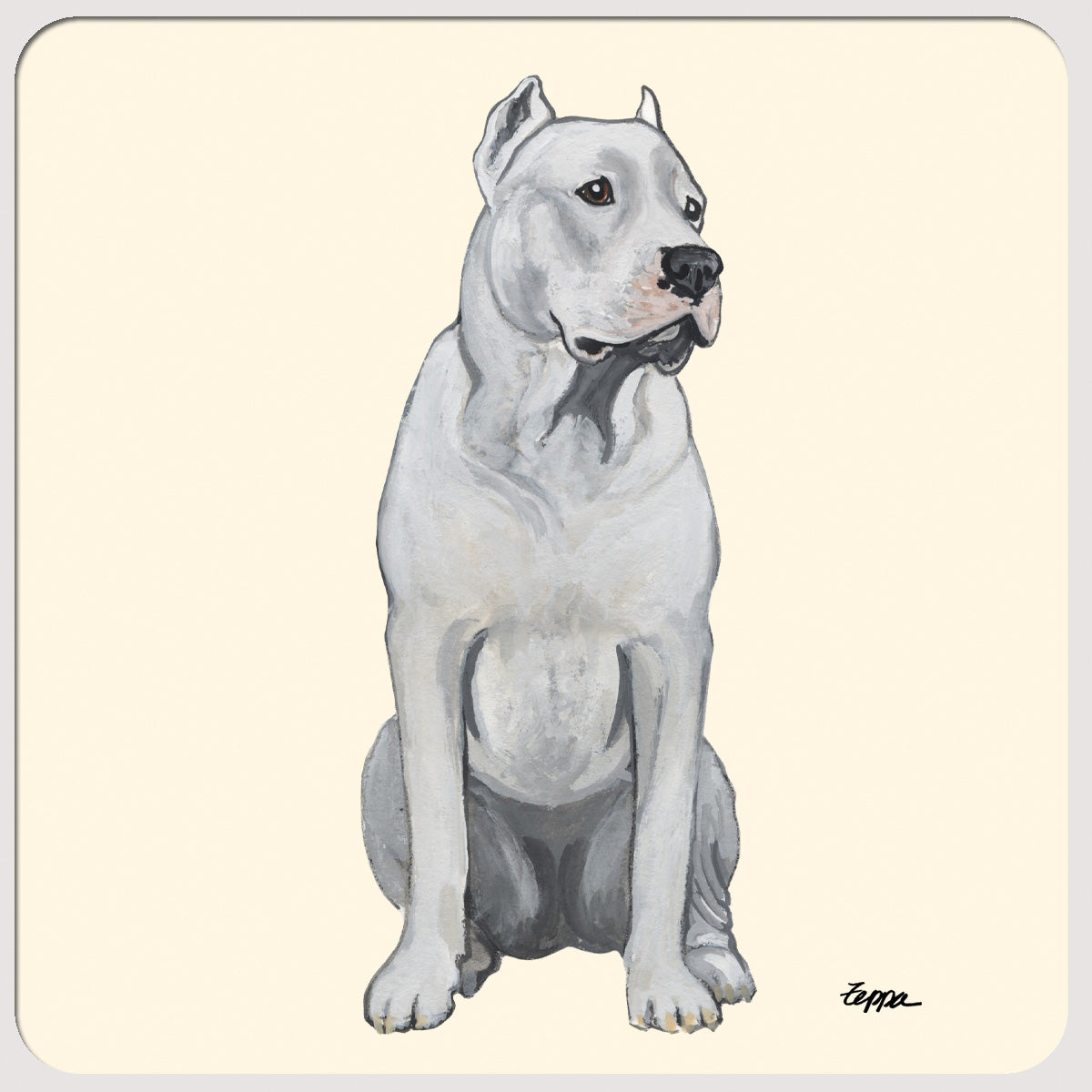Dogo Argentino Beverage Coasters