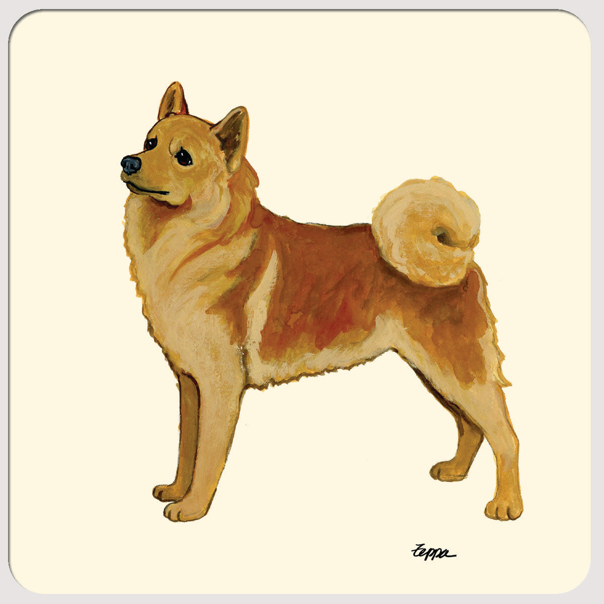 Finnish Spitz Beverage Coasters
