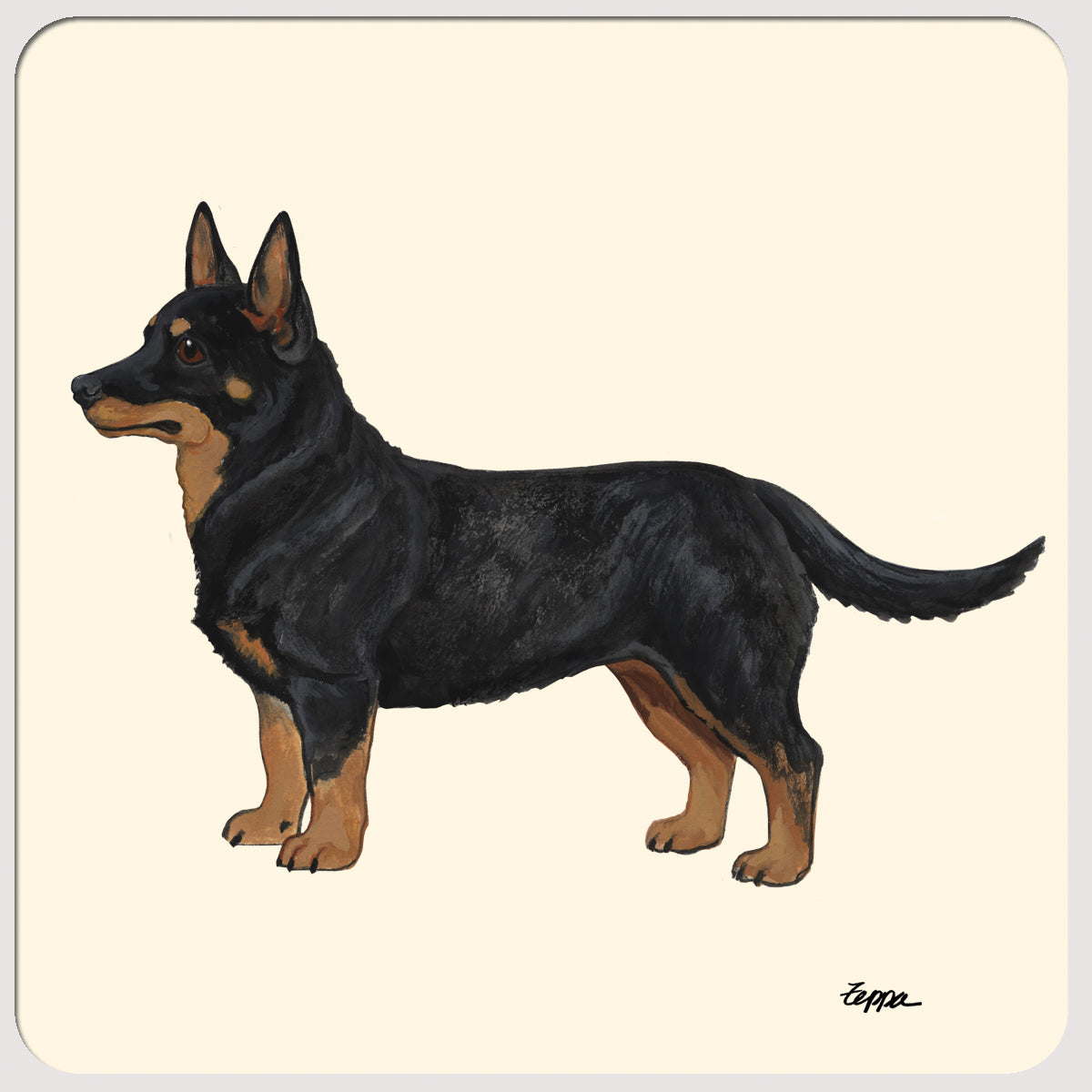 Lancashire Heeler Beverage Coasters