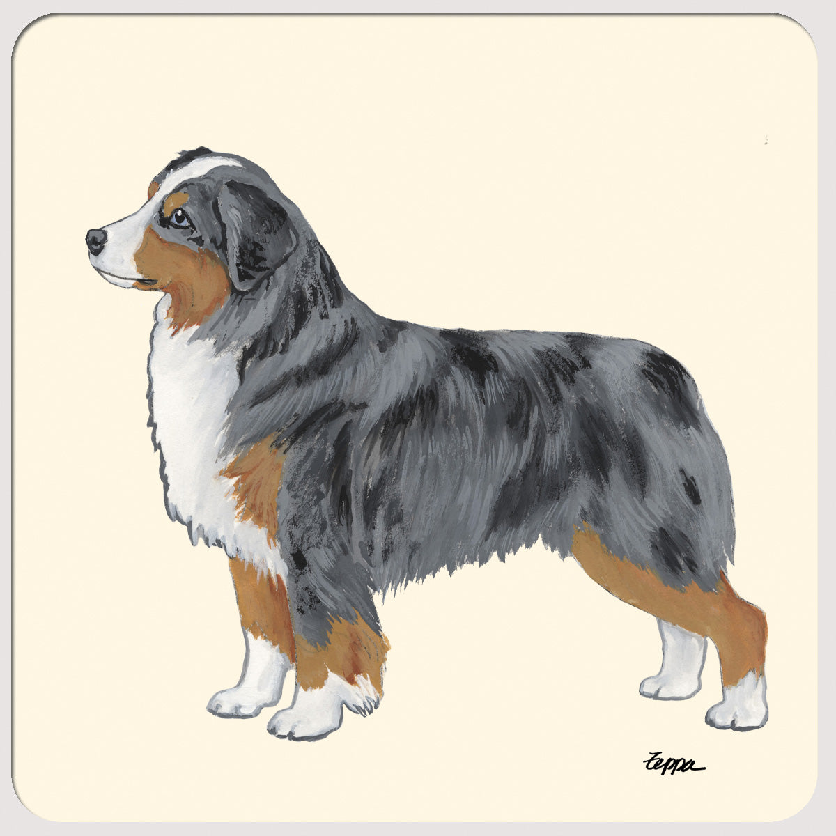 Miniature American Shepherd Beverage Coasters