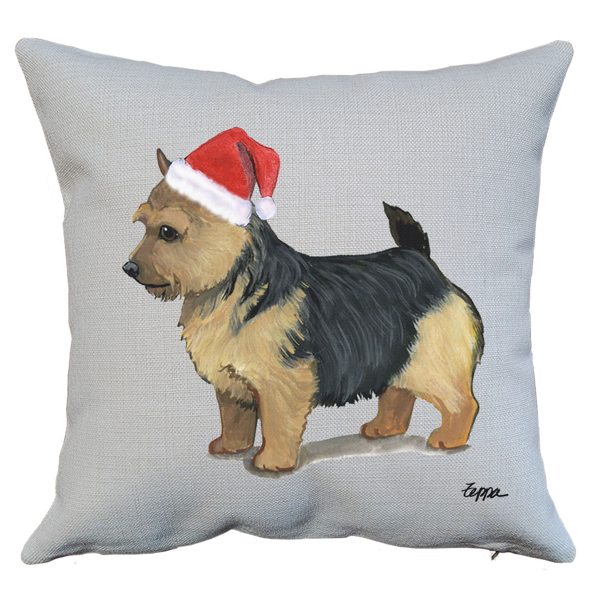 Black and Tan Norwich Terrier