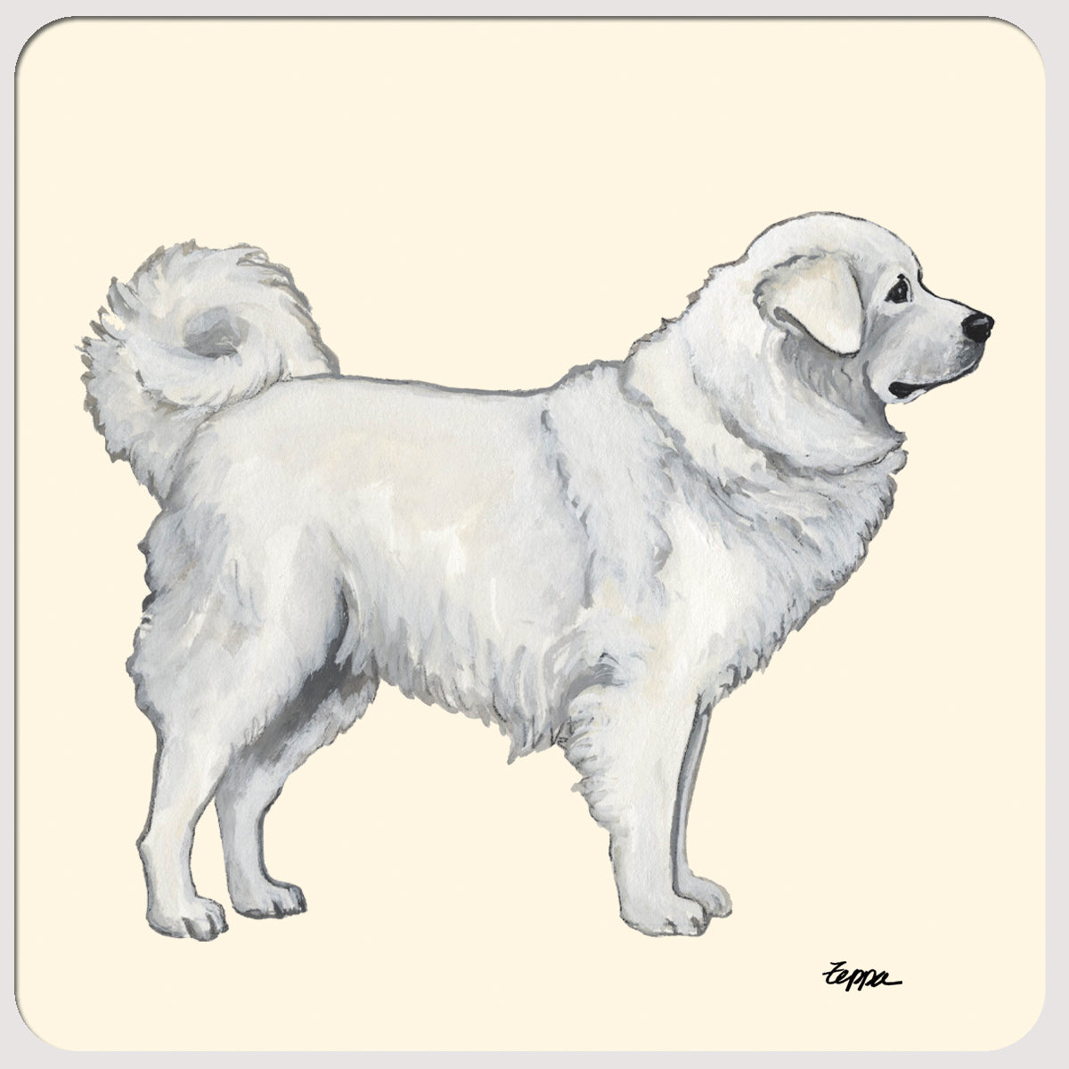 Polish Tatra Sheepdog Beverage Coasters