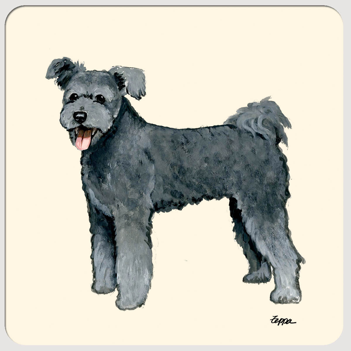 Pumi Plain Coasters