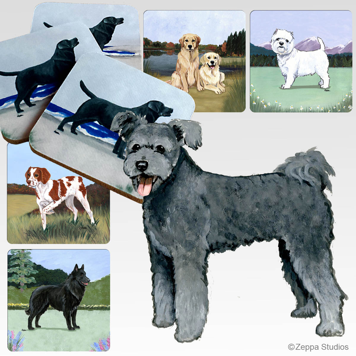 Pumi scenic background coasters