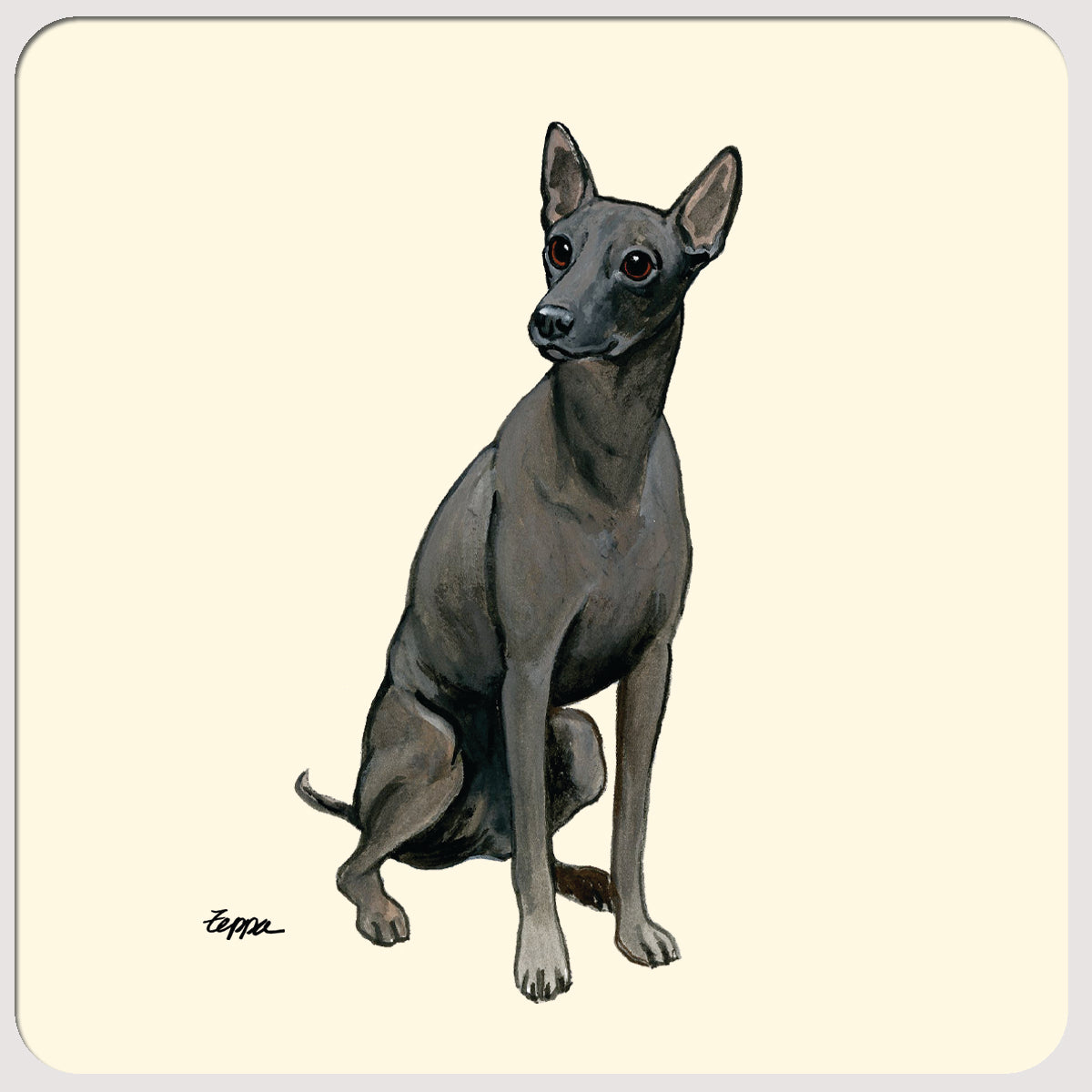 Xoloitzcuintli Beverage Coasters
