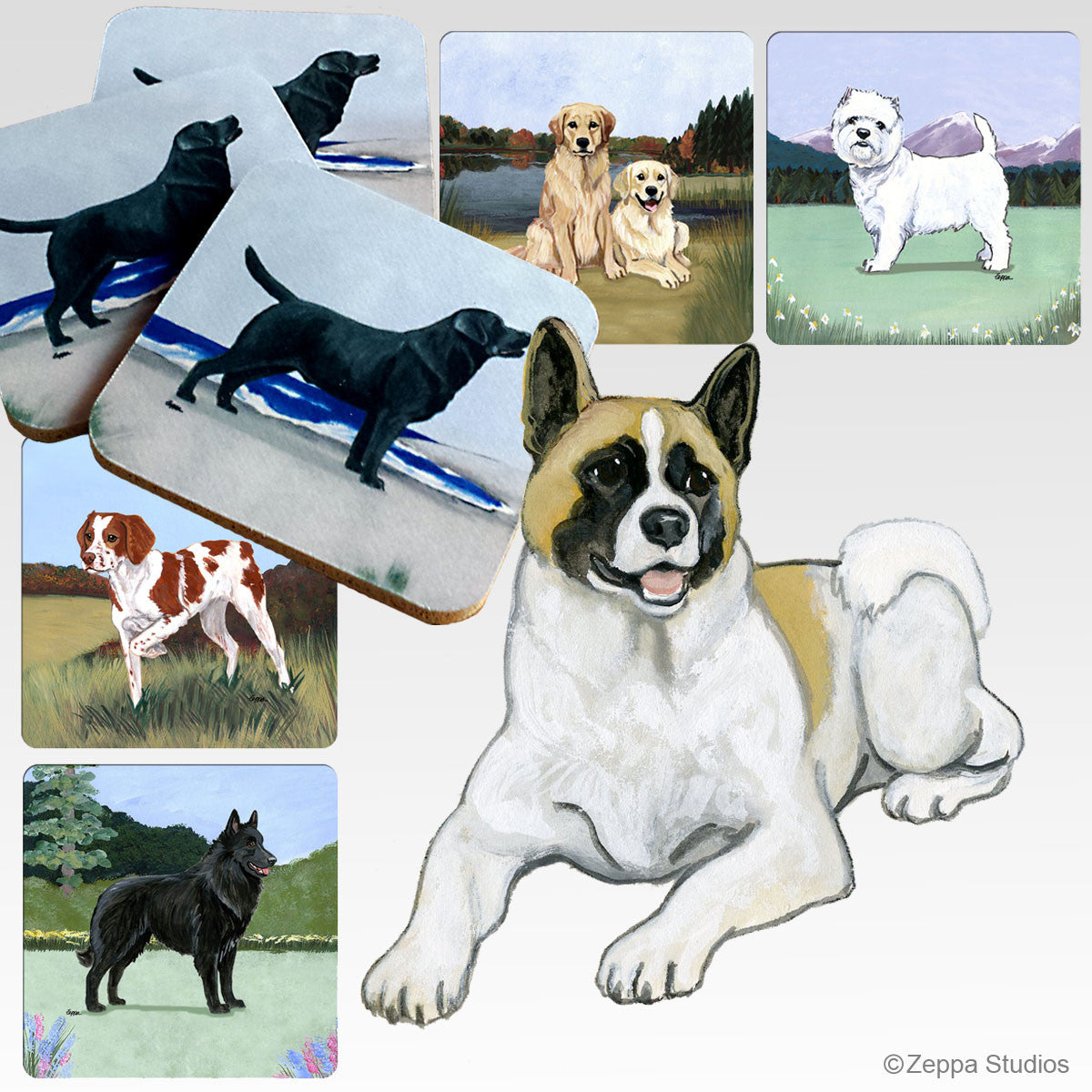 Akita Lying Down Scenic Coasters
