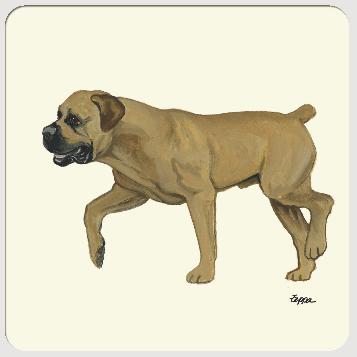 Boerboel Coasters