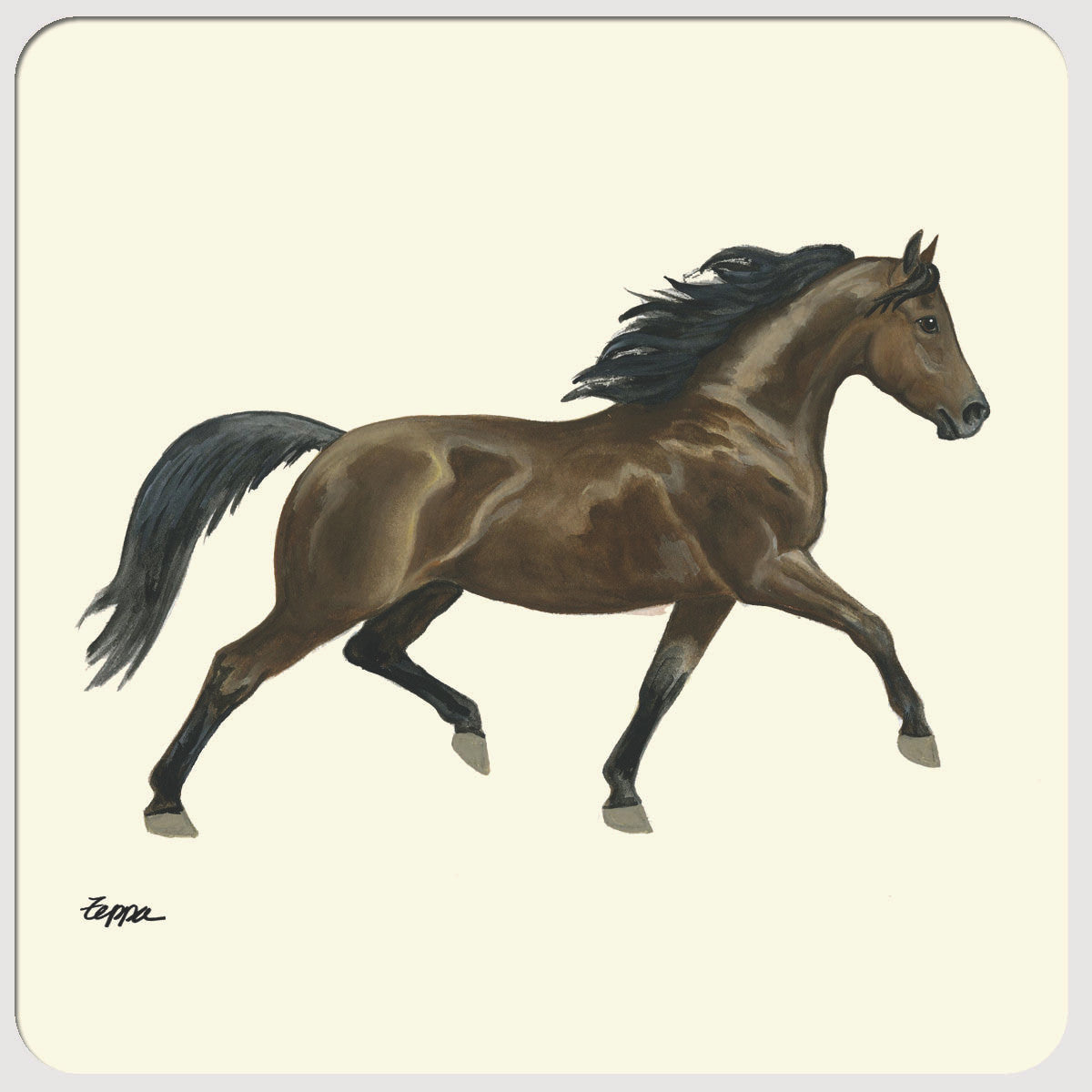Morgan Horse Beverage Coasters
