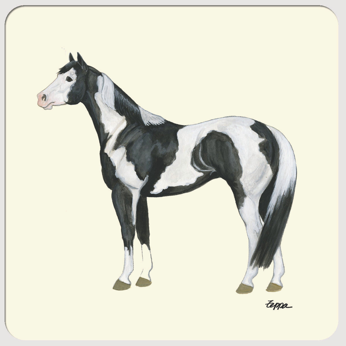Paint Horse Beverage Coasters