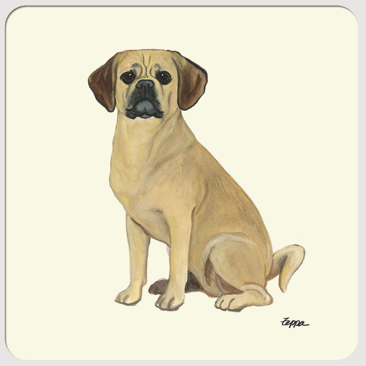 Puggle Beverage Coasters