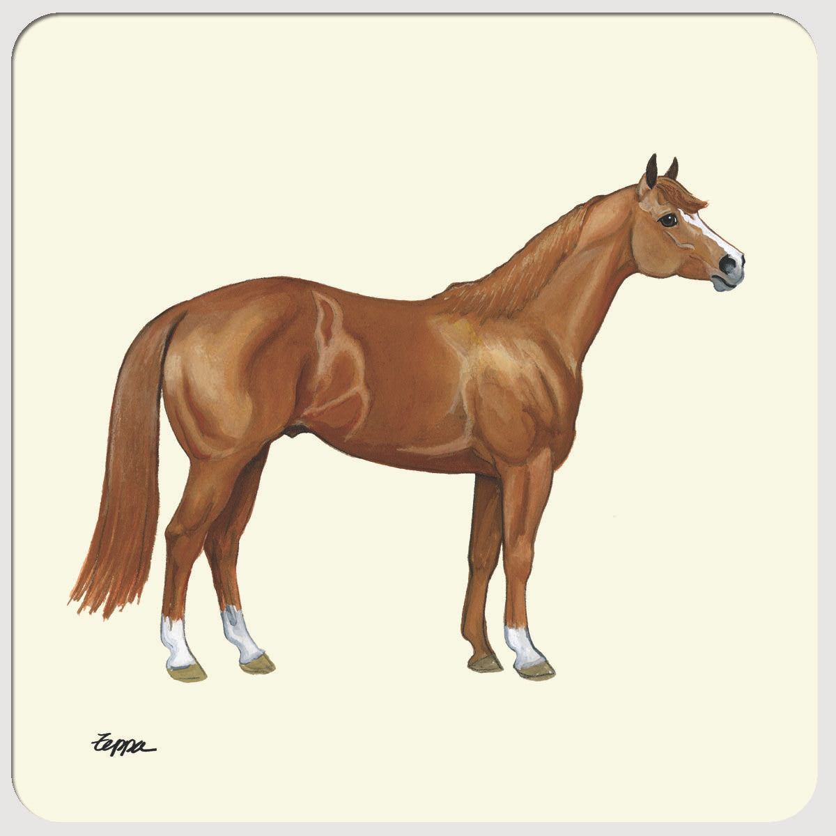 Quarter Horse Beverage Coasters