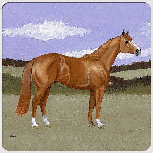 Quarter Horse Scenic Coasters