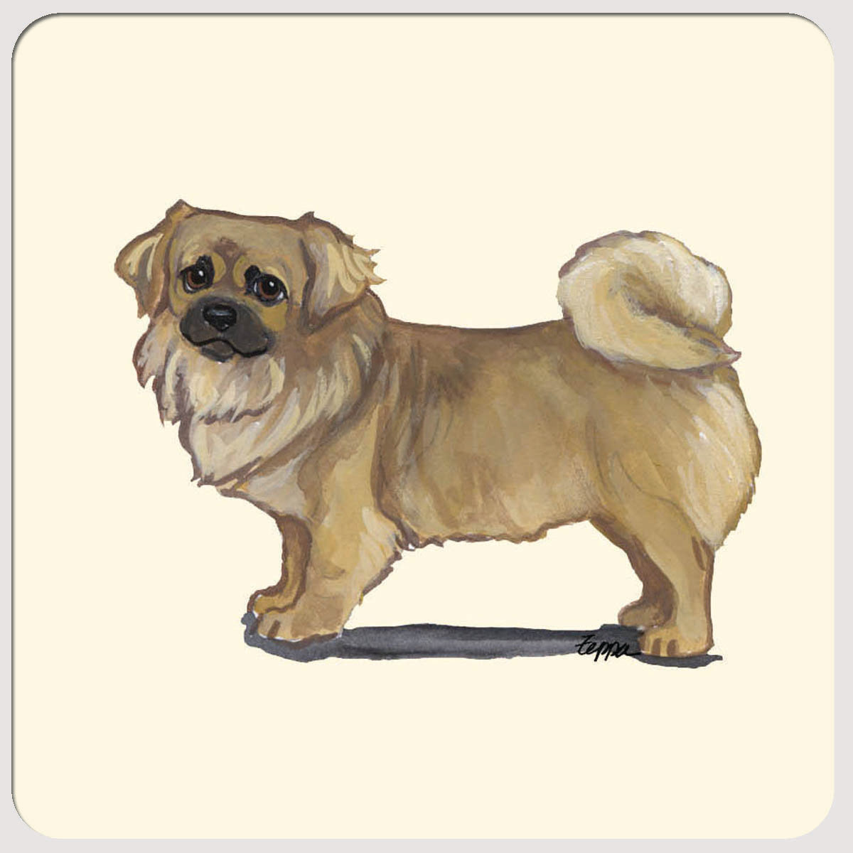 Tibetan Spaniel Beverage Coasters