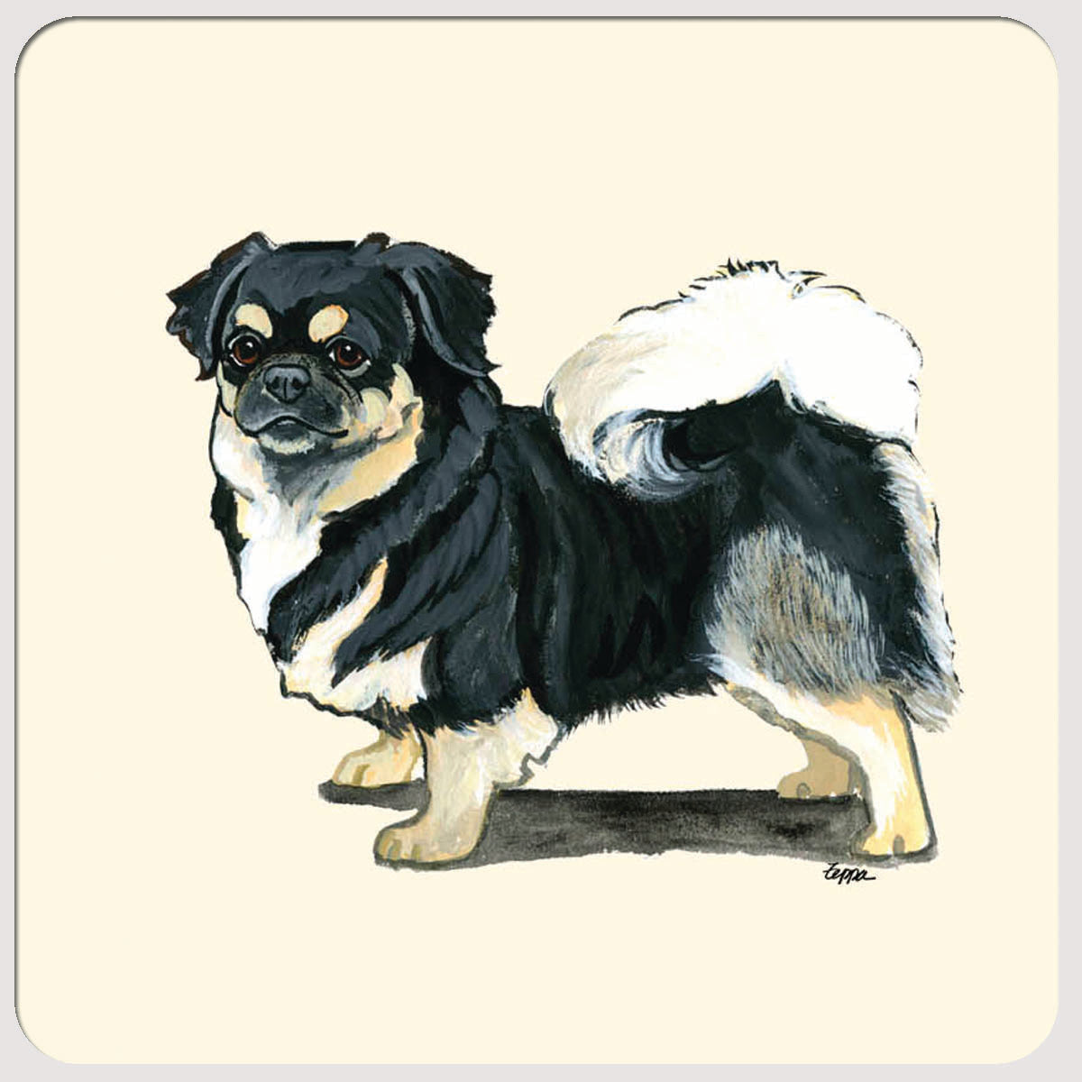 Tibetan Spaniel Beverage Coasters