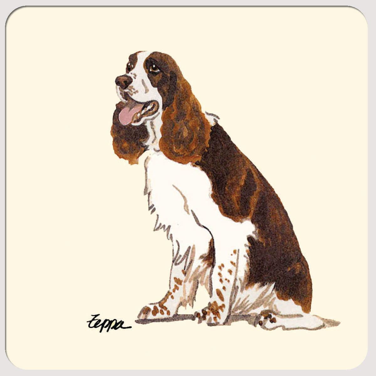 Springer Spaniel Beverage Coasters