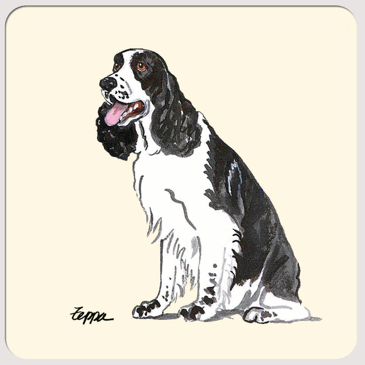 Springer Spaniel Beverage Coasters