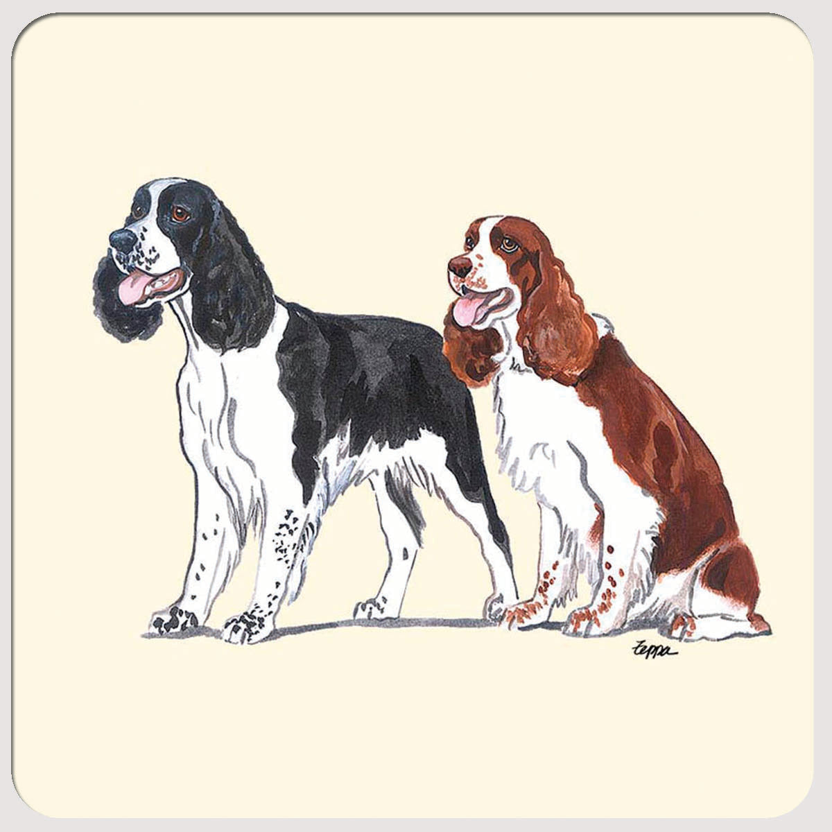 Springer Spaniel Beverage Coasters