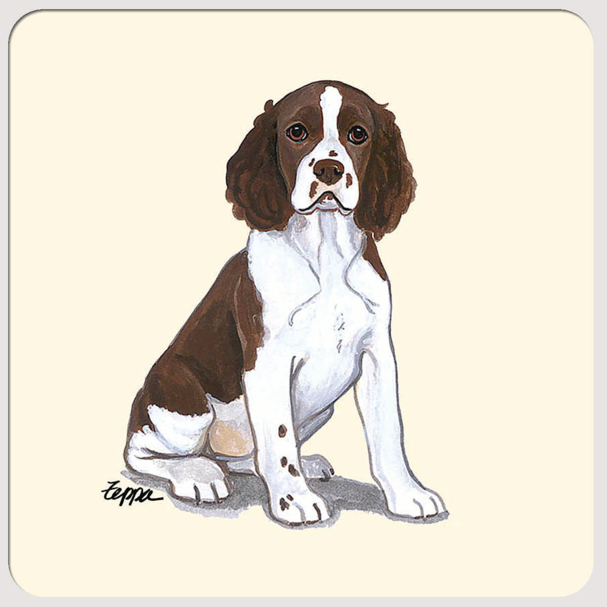 Springer Spaniel Beverage Coasters