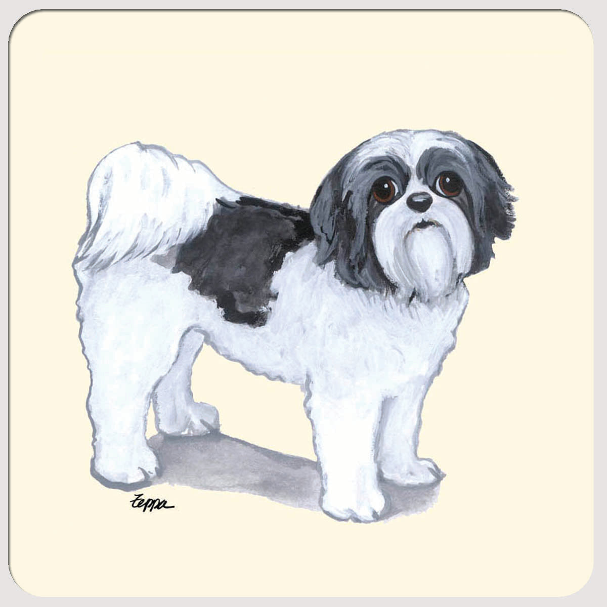 Shih Tzu Beverage Coasters