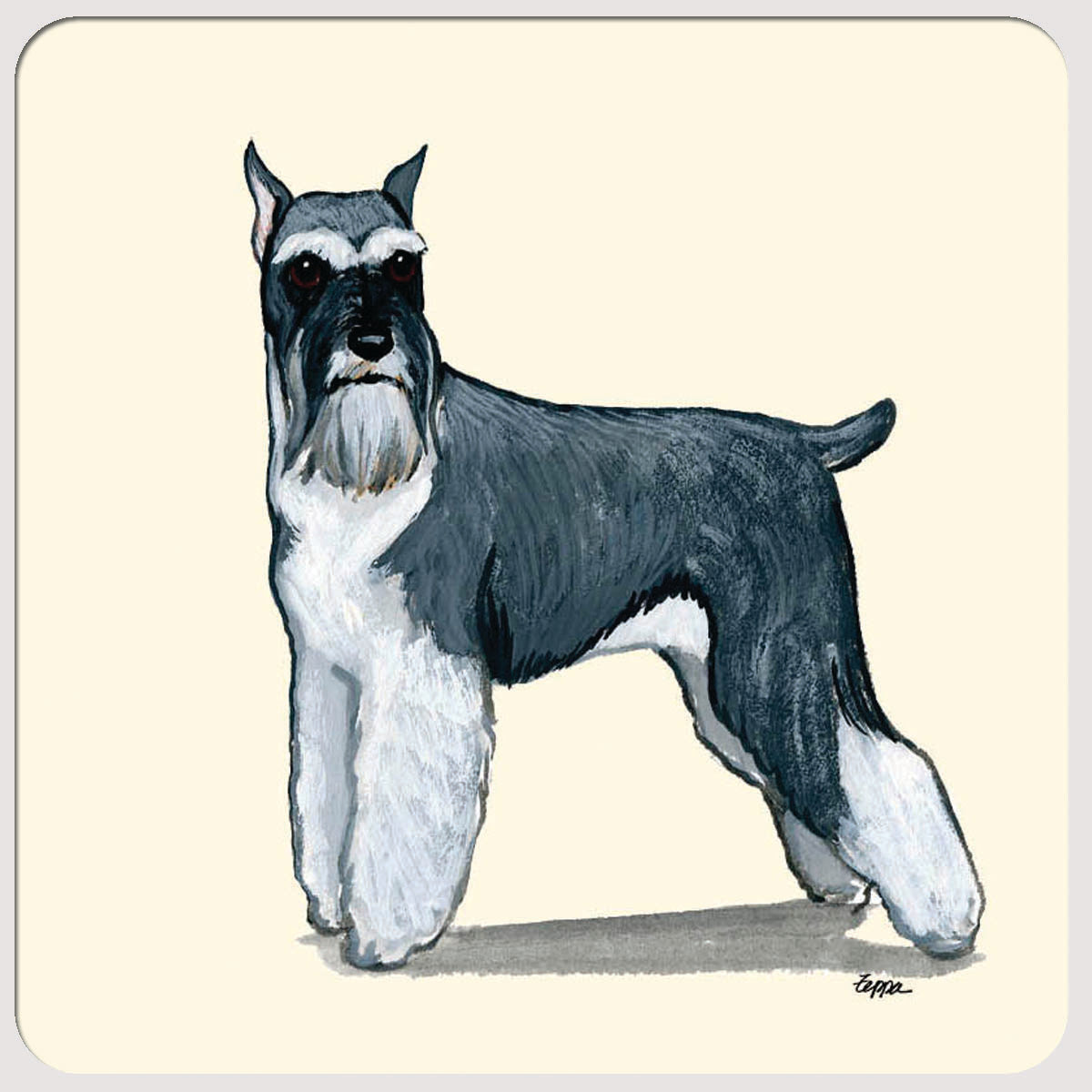 Schnauzer Beverage Coasters