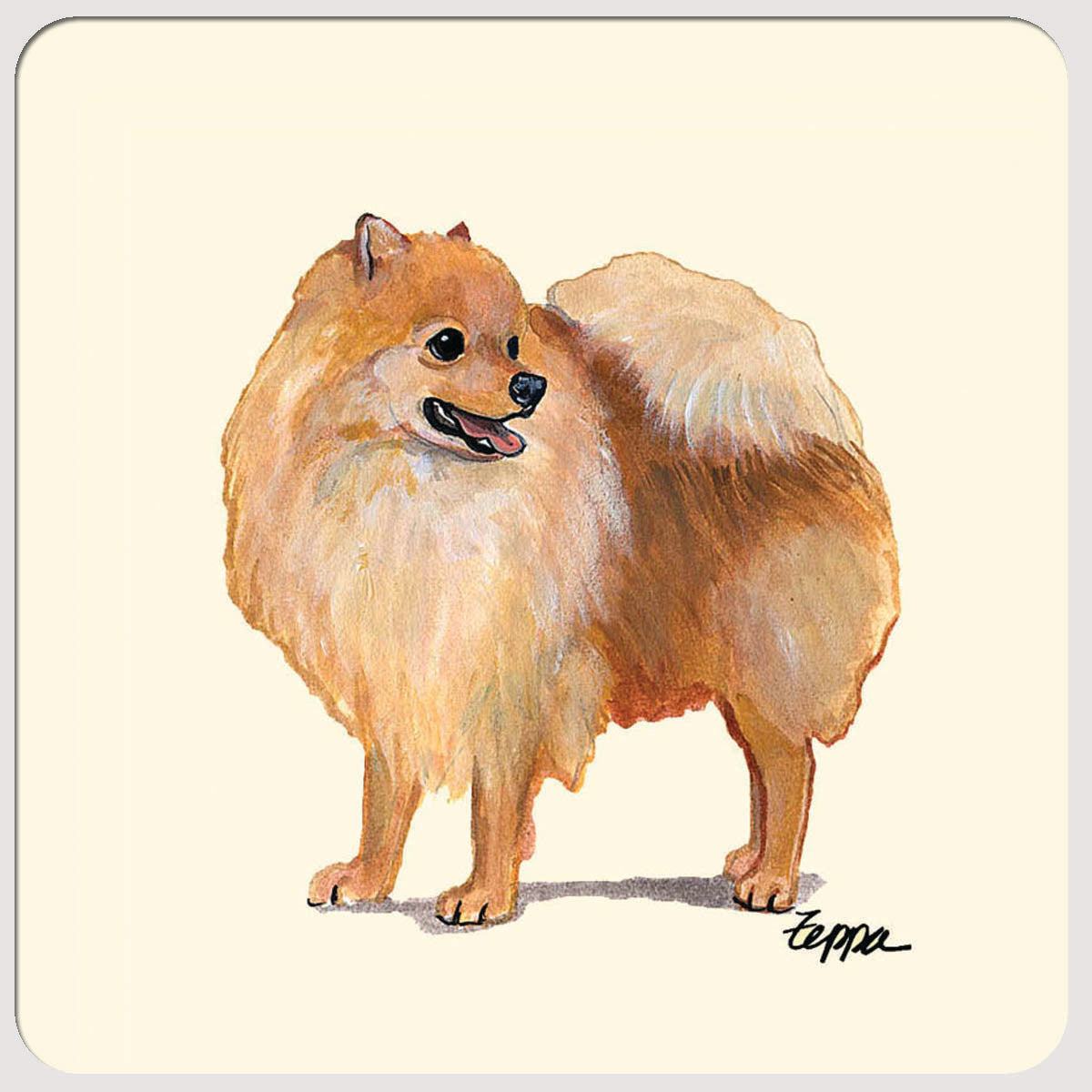 Pomeranian Beverage Coasters