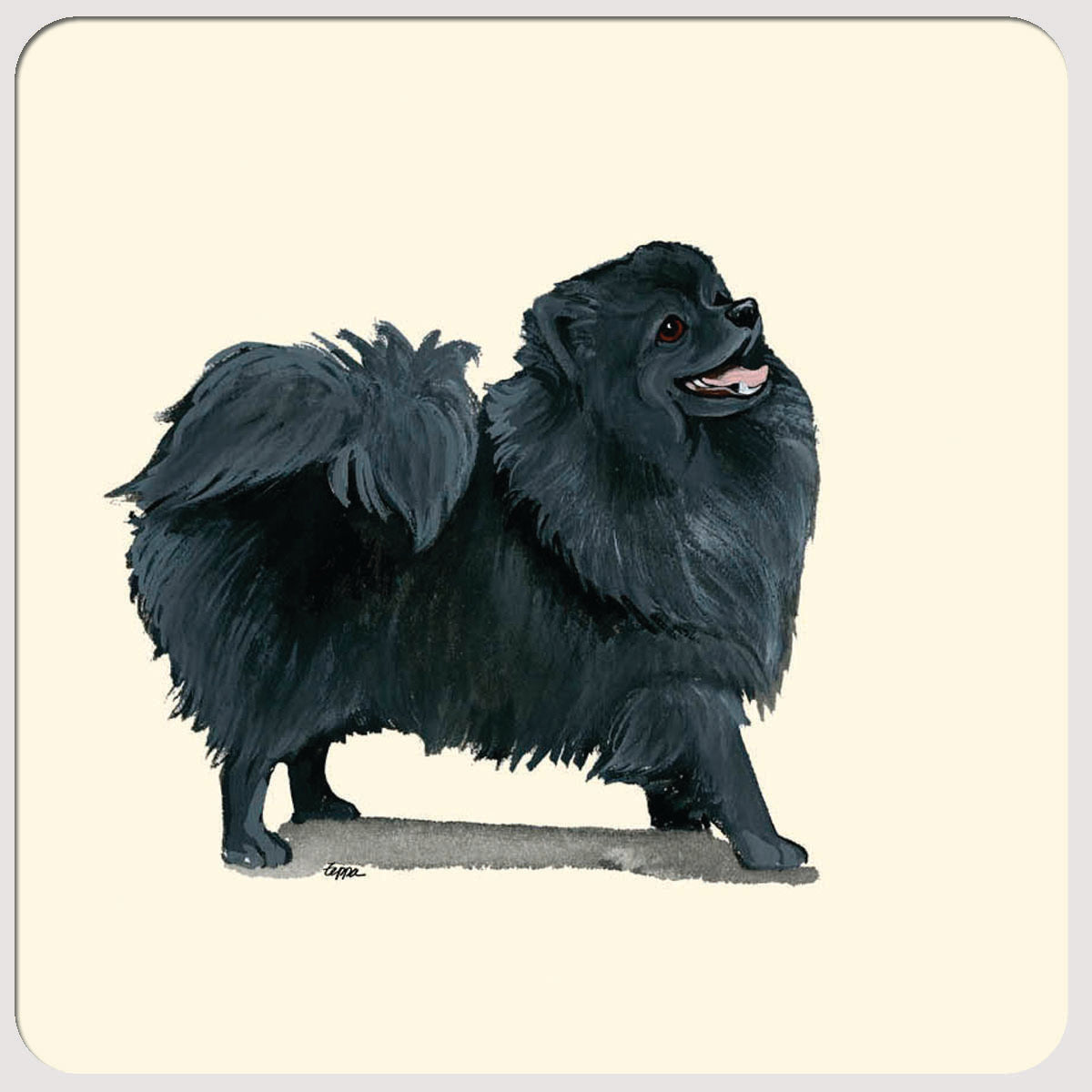 Pomeranian Beverage Coasters