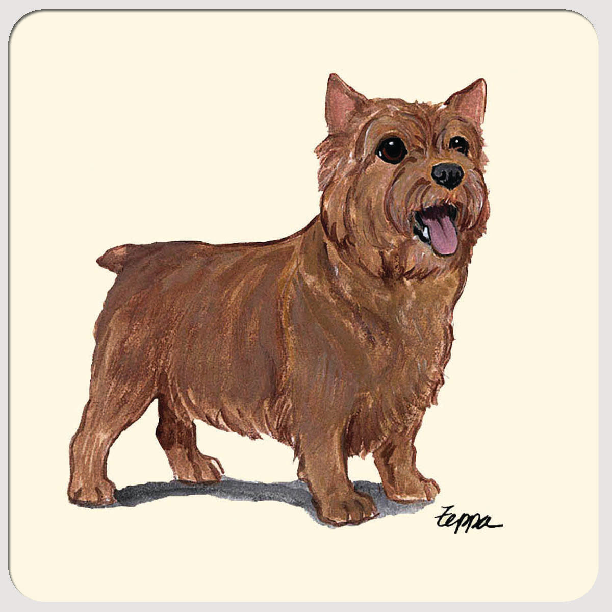 Norwich Terrier Beverage Coasters