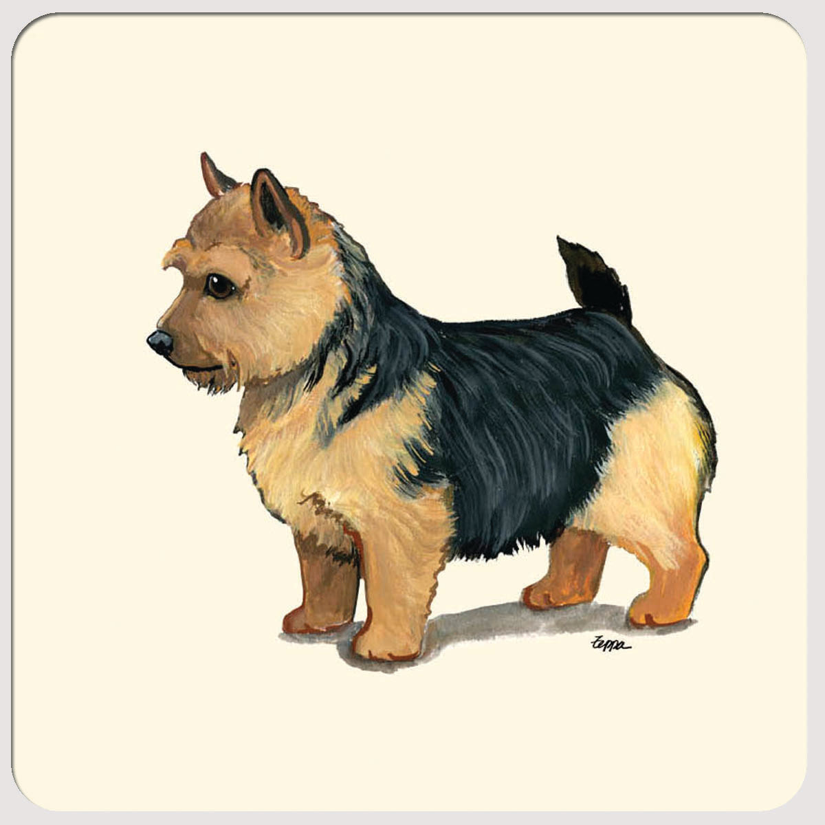 Norwich Terrier Beverage Coasters